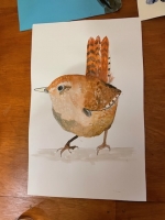 RSPB Big Garden Bird Watch 2022