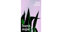 Community Book Club - Burnt Sugar, Agni Doshi (2020)