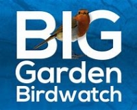 RSPB Birdwatch